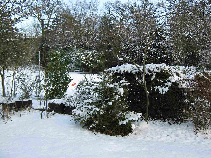Snowy_Weather_Feb_09 (30)